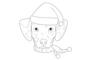 Christmas 60 Dog Breeds for Coloring, an Animal Illustration by asantosg (Thumbnail 4 of 9)