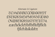 AV Galveria - Display Serif Font, a Serif Font by Uncarving (Thumbnail 12 of 20)
