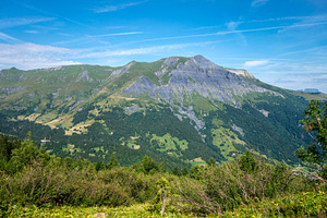 Wildflowers and alpine mountain view at Contamines Montjoie, Fra, a Nature Photo by GoodGoods