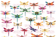 The Dragon Fly Collection Clipart, an Animal Illustration by Watercolor Digital (Thumbnail 3 of 20)