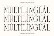 Seraneo Modern Display Typeface, a Serif Font by Letterena Studios (Thumbnail 12 of 15)