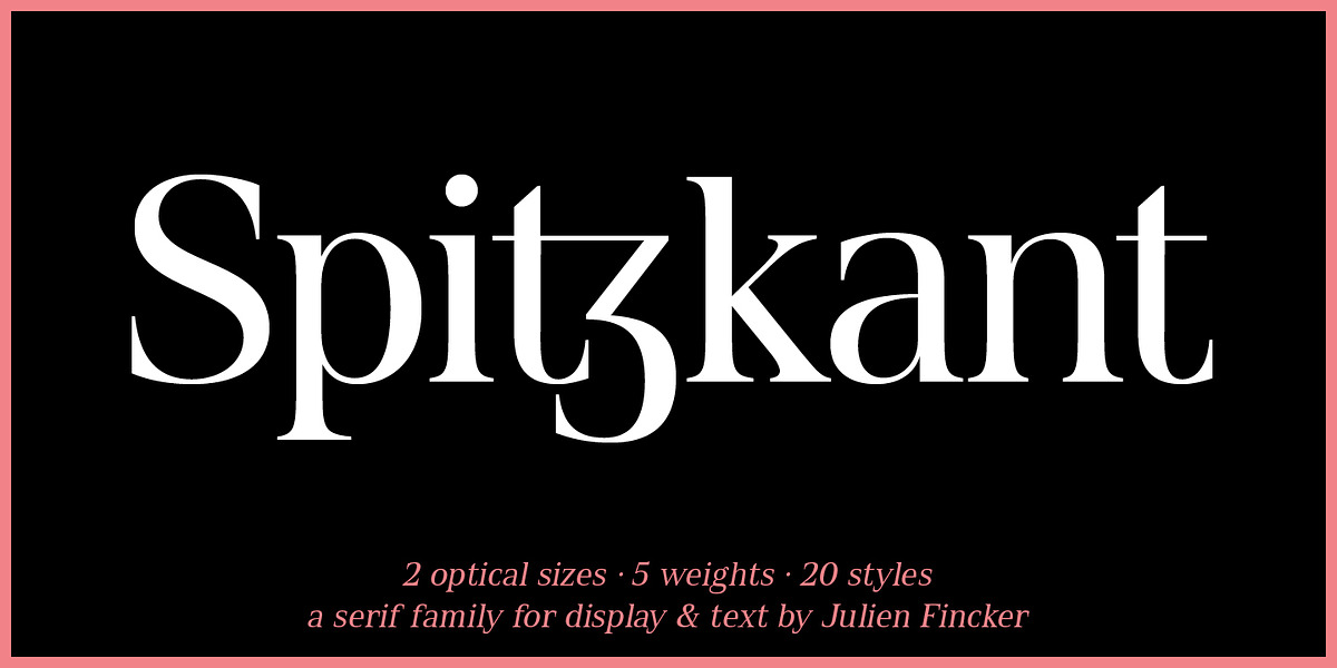 Spitzkant, a Serif Font by Julien Fincker (Photo 1 of 10)
