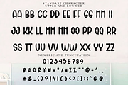 Bride Creative, a Script Font by FreshTypeINK (Thumbnail 3 of 7)