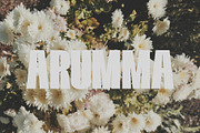 ARUMMA DISPLAY FONT, a Sans Serif Font by maybefont (Thumbnail 1 of 10)