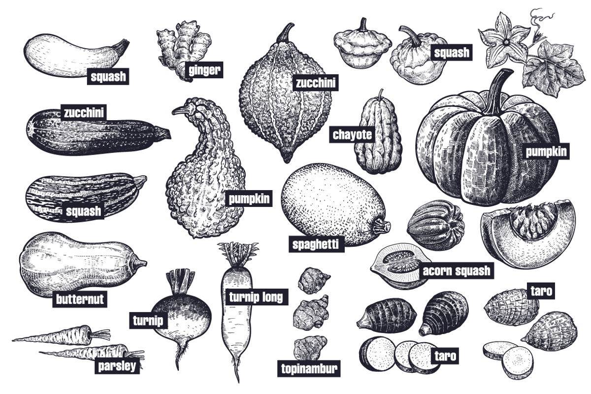 Vegetables and mushrooms., a Food Illustration by MarinaVorontsova (Photo 3 of 10)