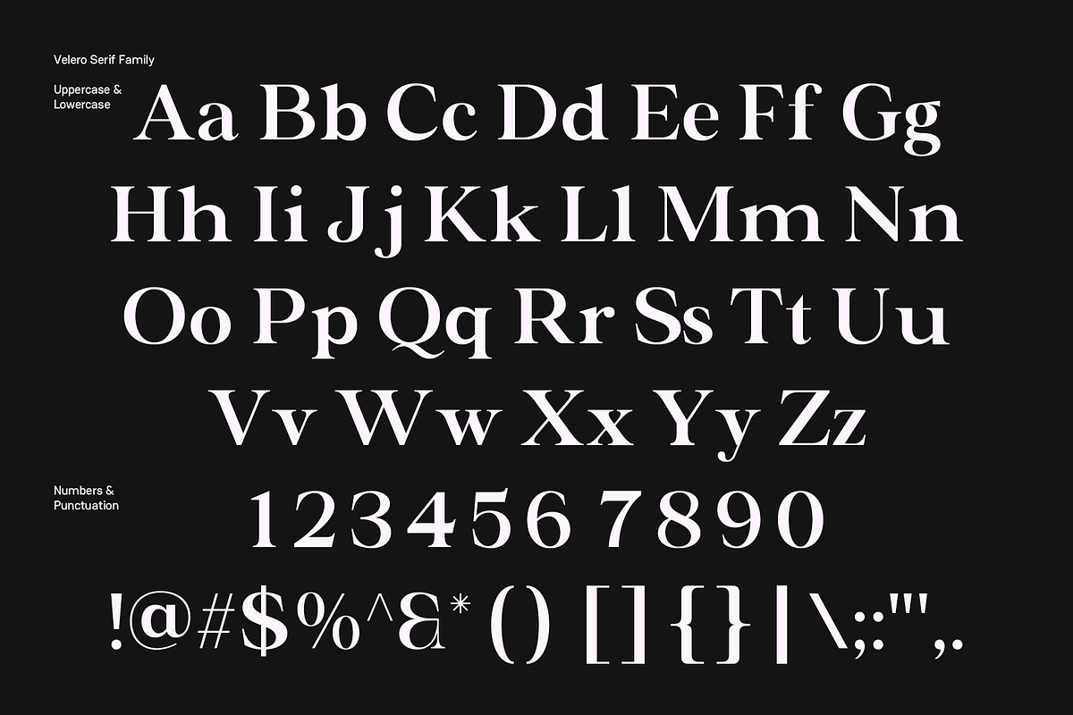 Valero - Classic Serif Family, a Serif Font by Indotype Foundry (Photo 5 of 10)