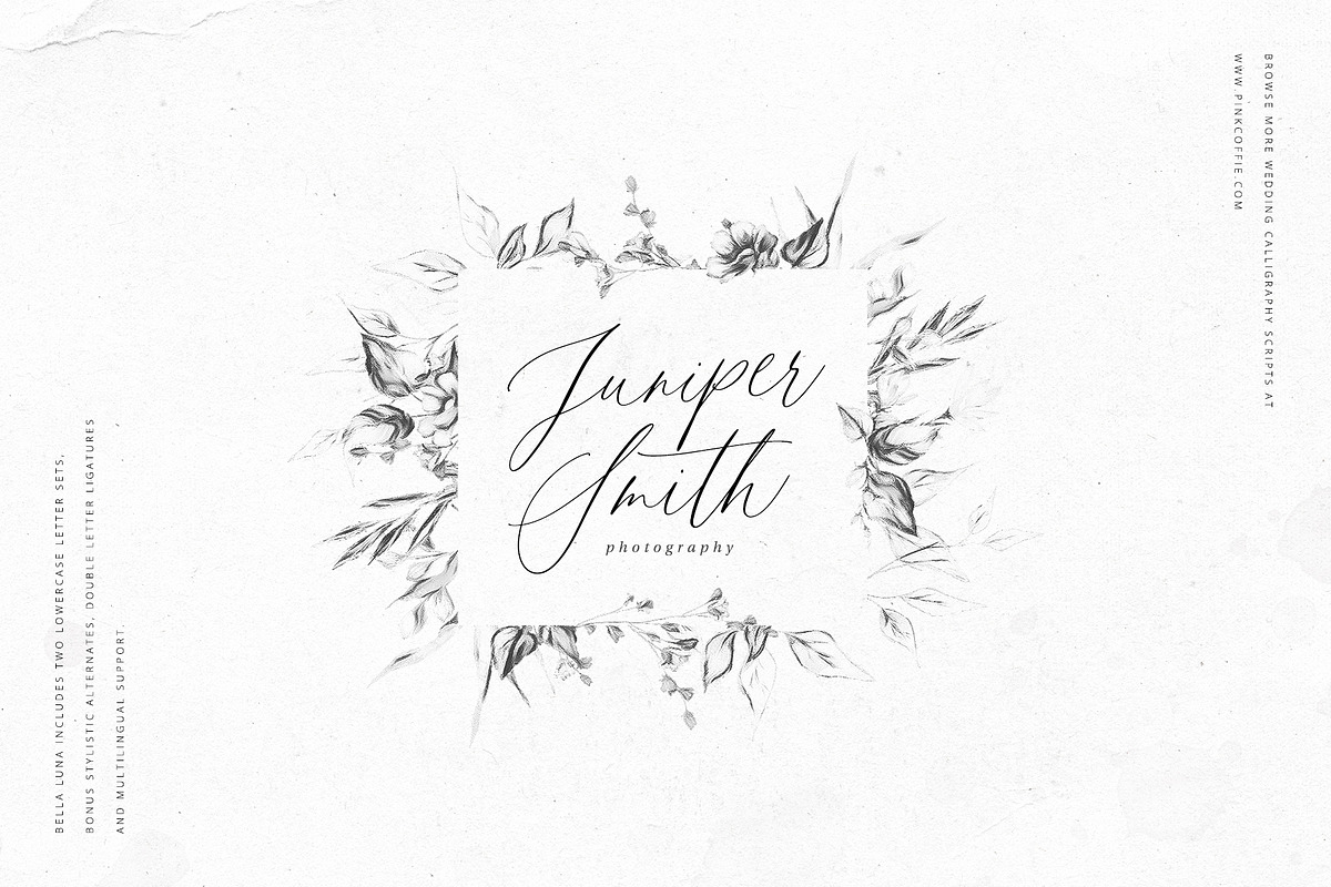 Bella Luna | Feminine Script Font, a Script Font by Pink Coffie (Photo 5 of 30)