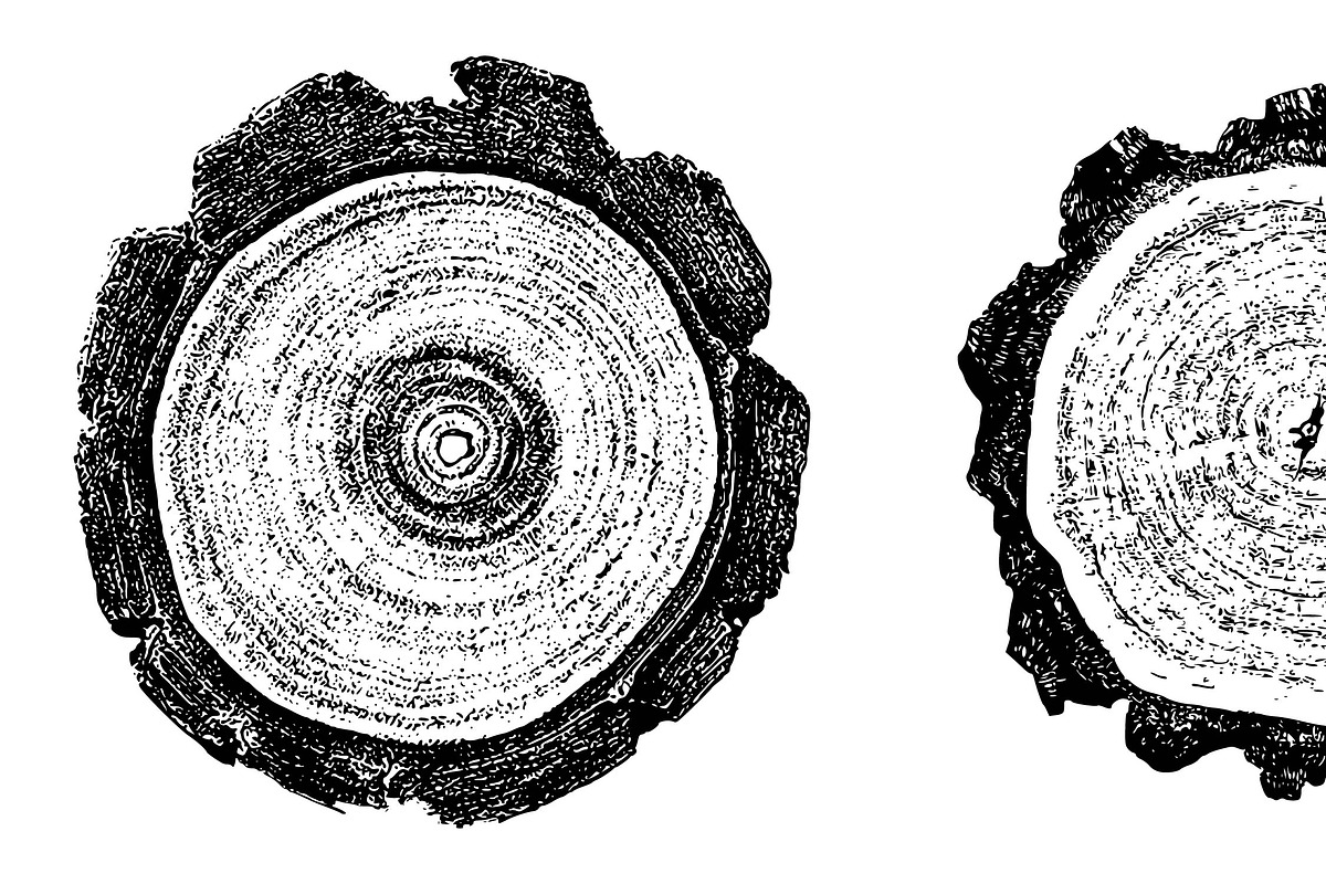 Woodlog Vector Template [ii], a Background Graphic by 103cia (Photo 2 of 3)