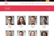 Charitas/Foundation WordPress Theme, a WordPress Template by WPlook WordPress Themes (Thumbnail 4 of 5)