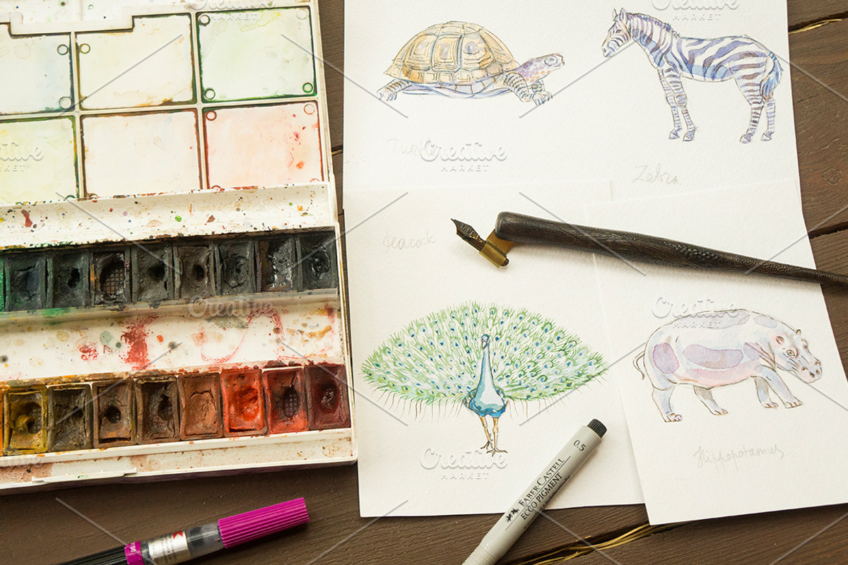 Watercolor zoo animals vector set, an Animal Illustration by miminoshka (Photo 8 of 9)