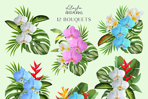 Tropical Orchids Flower Set