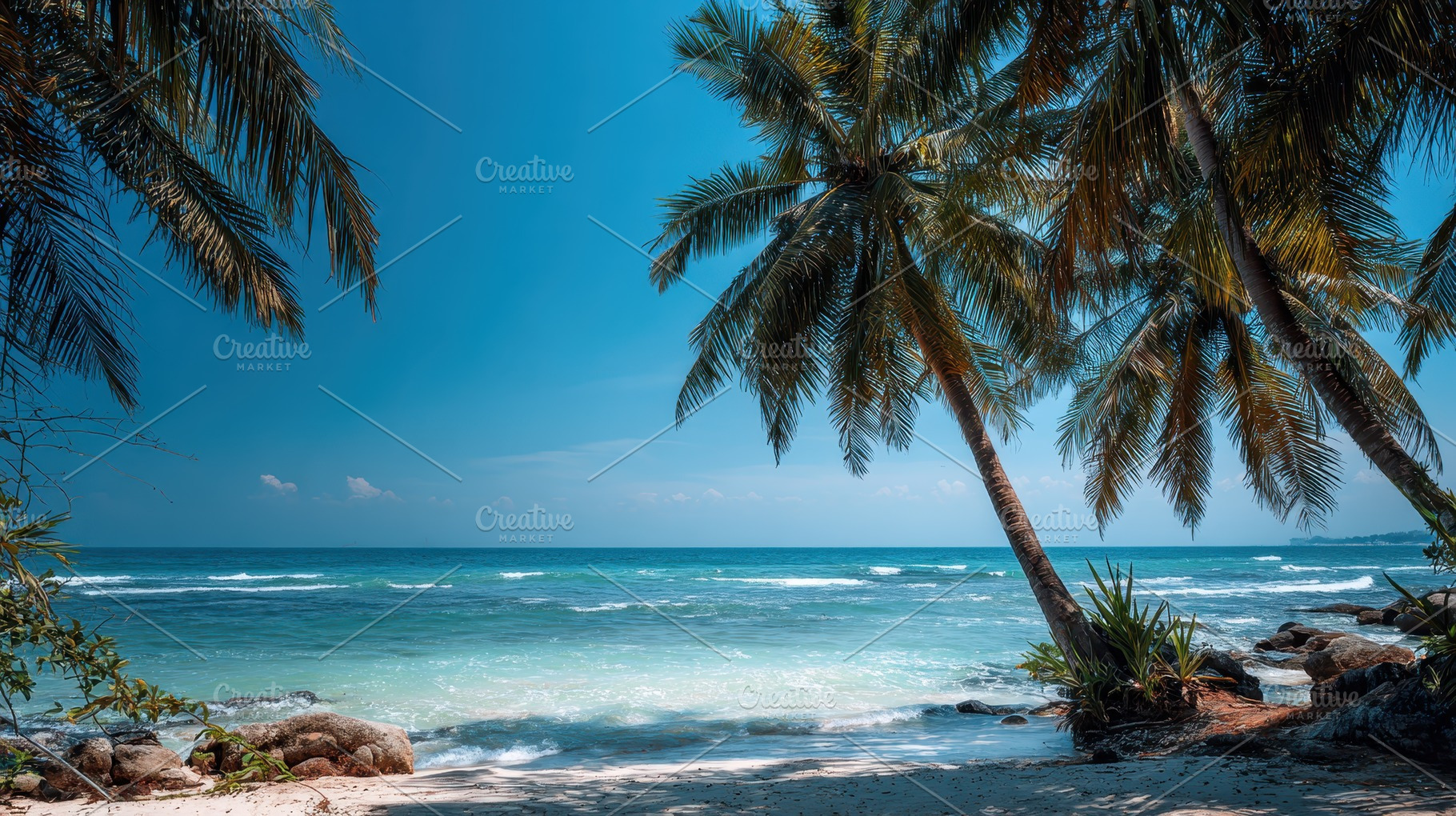 Palm trees sway over a sandy beach, a Photo by Pavel_design