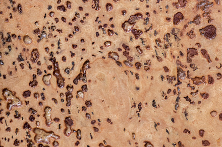 Cork texture background containing background, texture, and abstract, an Abstract Photo by photoWorkshop