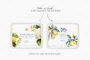 Watercolor Bouganvilleas and Lemons, a Decorative Illustration by ThaismotaCreativeCo (Thumbnail 10 of 11)