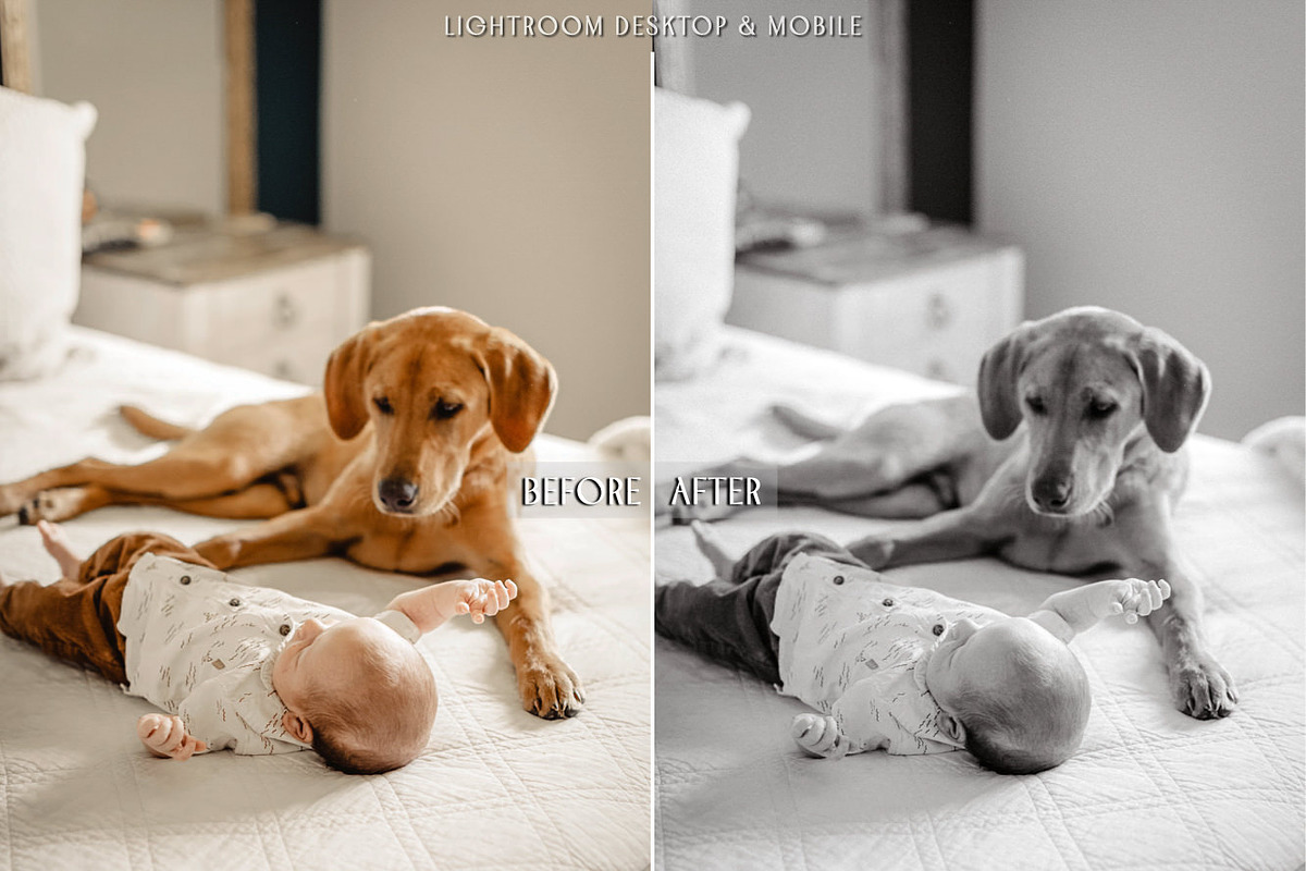 Farmhouse Rustic Warm Fall Presets, a Preset Add-On by CityTurtles (Photo 6 of 6)