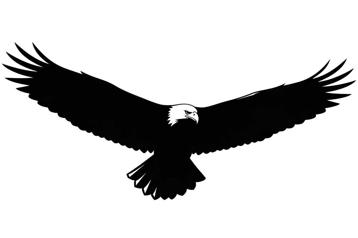 50 Flying Eagle Silhouette Vector Bu, an Illustration by Designs_River (Photo 26 of 51)