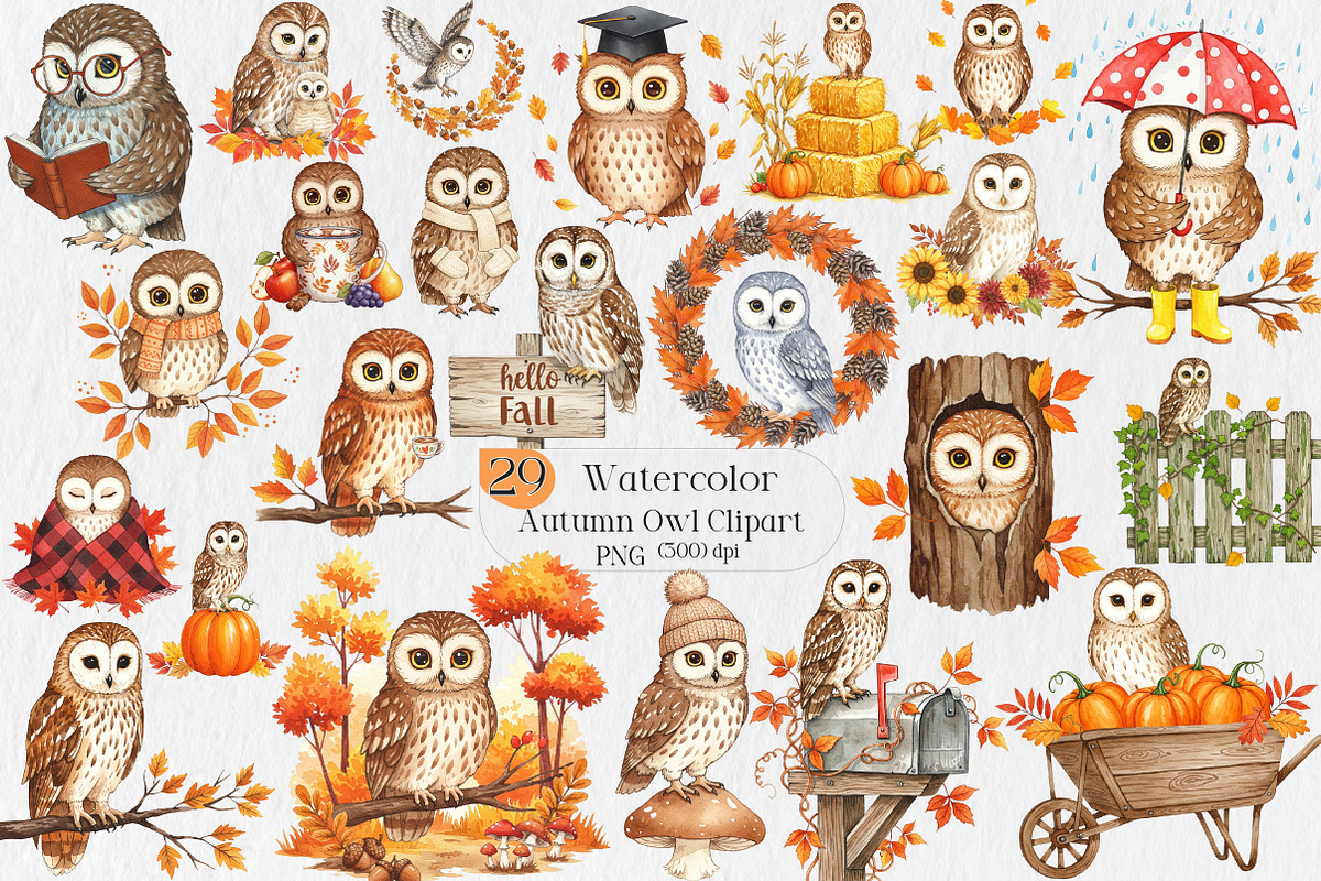 Autumn Owl Clipart Sublimation, an Illustration by Creative Art (Photo 1 of 9)