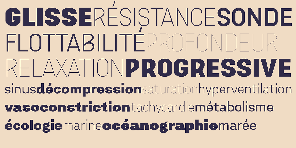 Aconit, a Sans Serif Font by Octotypo (Photo 4 of 9)