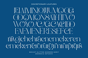 Bright Glitten, a Serif Font by zeenesia (Thumbnail 20 of 20)