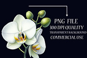 Watercolor Orchid Clipart, an Illustration by Libby Wishes (Thumbnail 4 of 7)