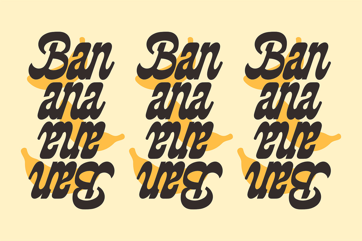 BLACK WOOD - Modern Classic Script, a Script Font by Havinkpen (Photo 5 of 9)