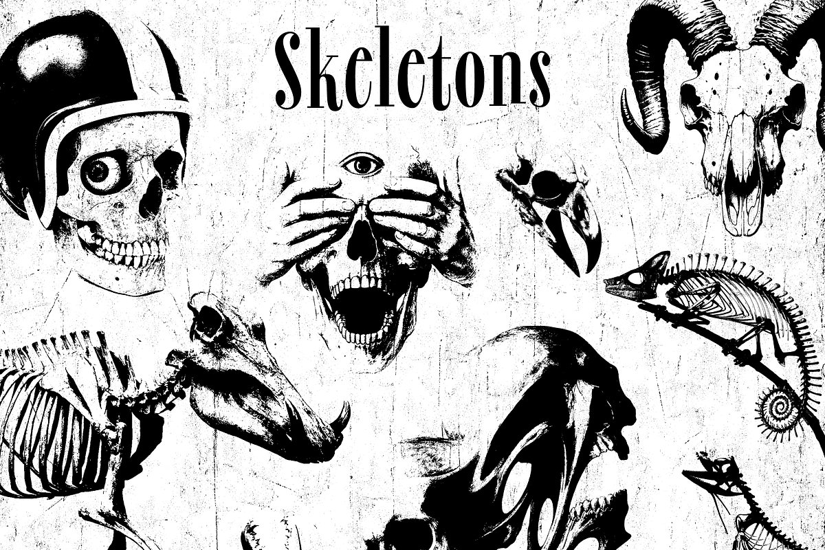 StencilMix Procreate Stamps, a Brush Add-On by PeeperDesignStudio (Photo 7 of 7)