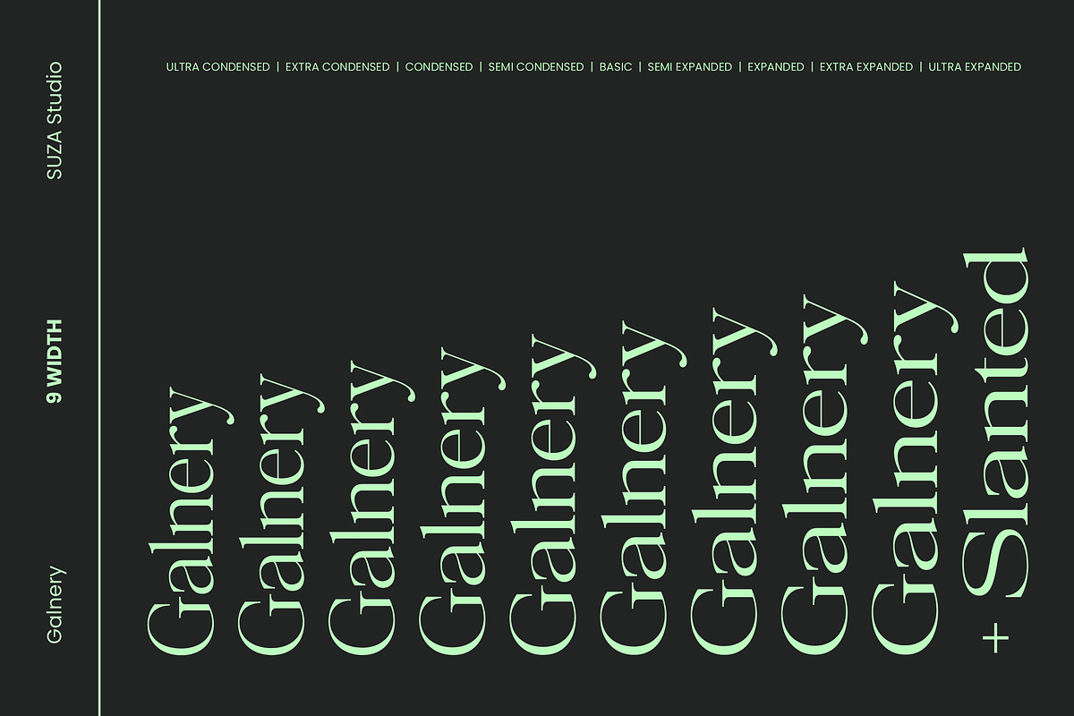 Galnery, a Serif Font by Suza Studio (Photo 3 of 13)