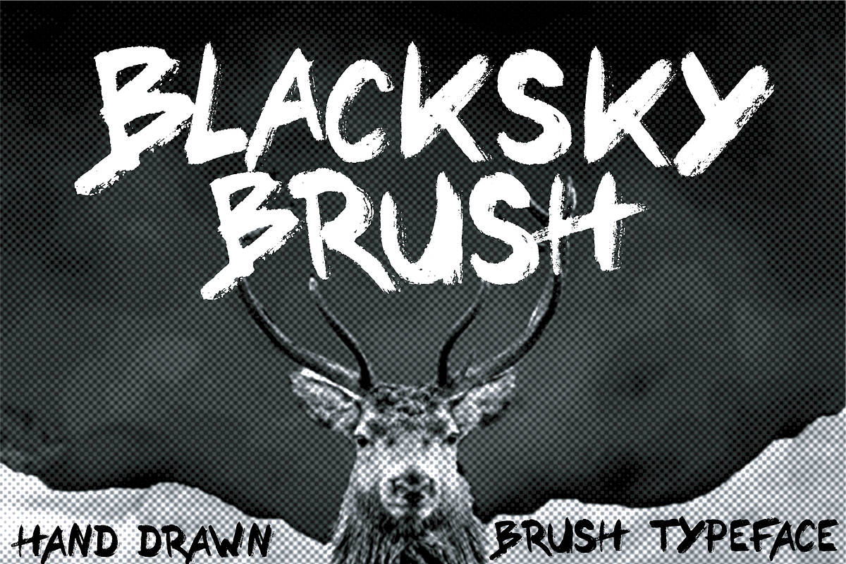 BLACKSKY BRUSH Hand Drawn Typeface, a Handwritten Font by Salty Sweet Creative (Photo 1 of 2)