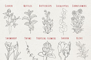 Flowers and Bows graphic line art, a Decorative Illustration by Nataly_is_Drawing (Thumbnail 5 of 11)