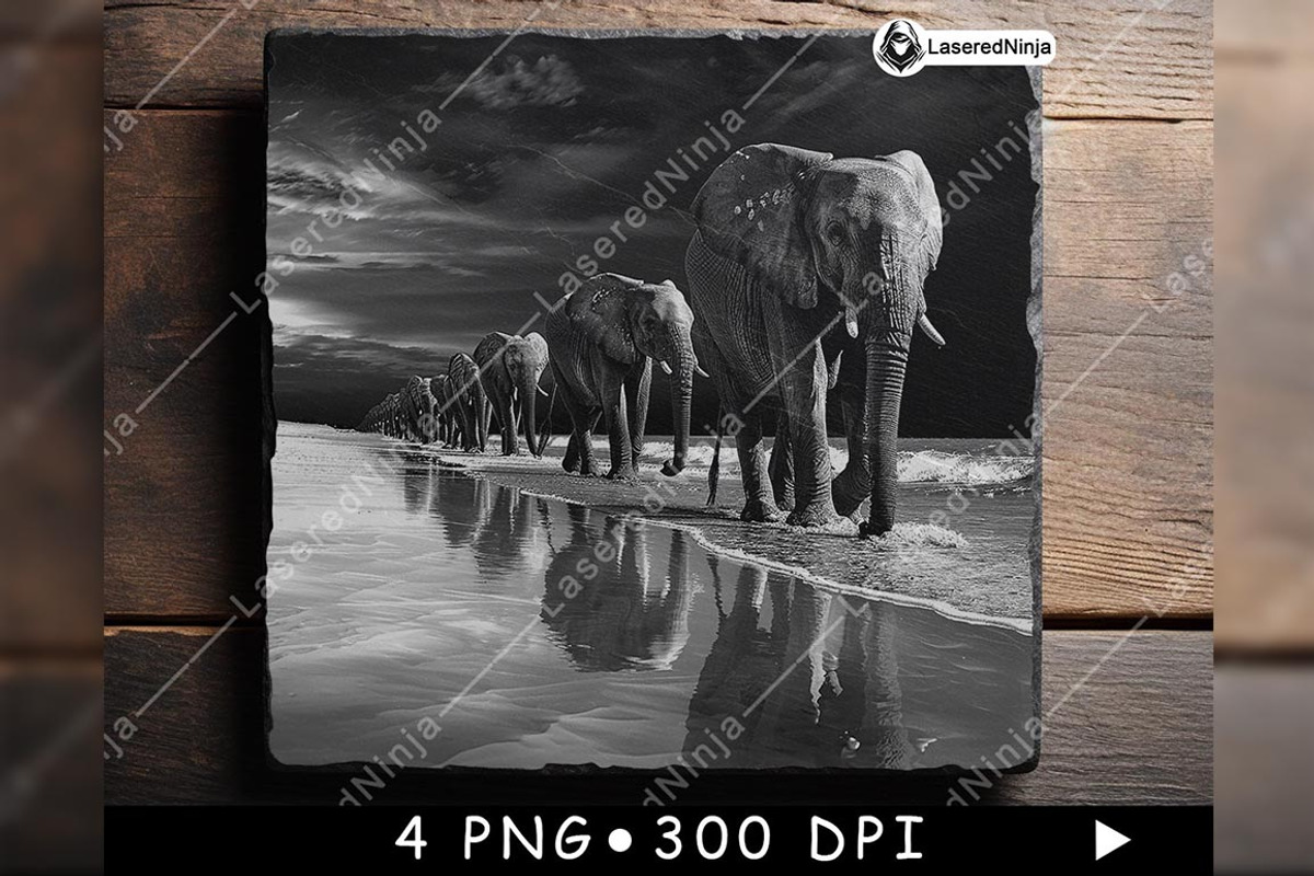Elephants Group Walking Herd Beach, a Background Graphic by LaseredNinja (Photo 4 of 7)