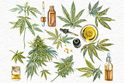 CBD Oil. Hemp illustration, a Food Illustration by Ann Astro (Thumbnail 2 of 8)