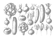 Vegetable collection, an Object Graphic by Siosay (Thumbnail 3 of 13)