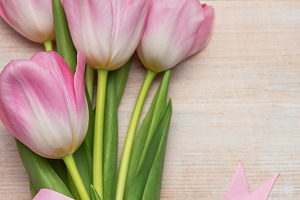 Bouquet of pink tulips tied with pink ribbon on wooden table, a Holiday Photo by Olena Rudo