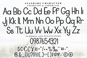 Helvetica, a Sans Serif Font by FreshTypeINK (Thumbnail 3 of 8)