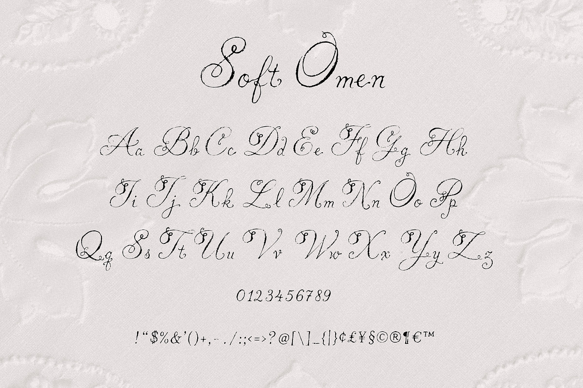 Soft Omen: Delicate Script Font, a Script Font by Mneme (Photo 5 of 9)