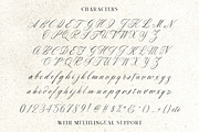 Golden Rouge Vintage Script, a Script Font by Letterhend Studio (Thumbnail 8 of 10)