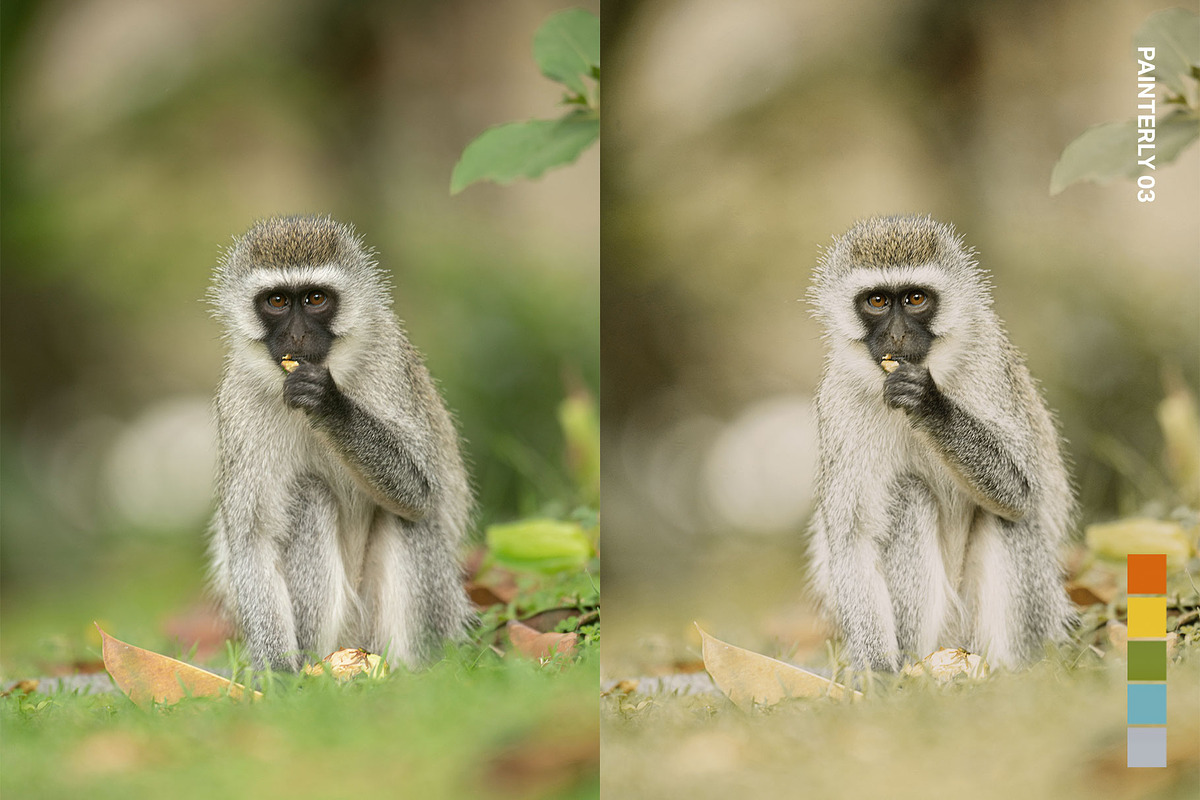 25 Safari Lightroom Presets LUTs, a Preset Add-On by SparkleStock (Photo 9 of 15)