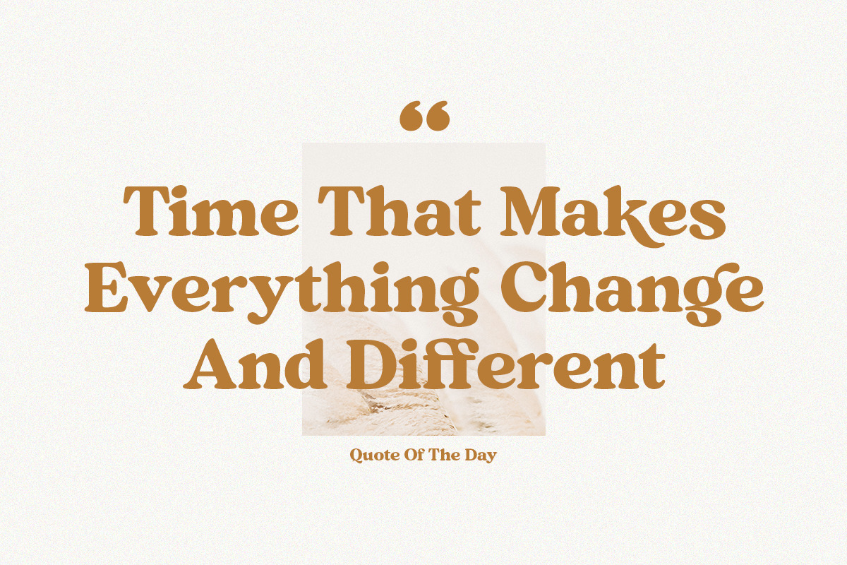 Mint And Sage, a Serif Font by Attract Studio (Photo 20 of 21)