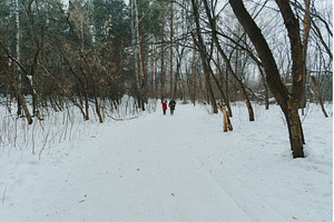 Friends enjoying a winter walk in a, a Beauty & Fashion Photo by darksoul72