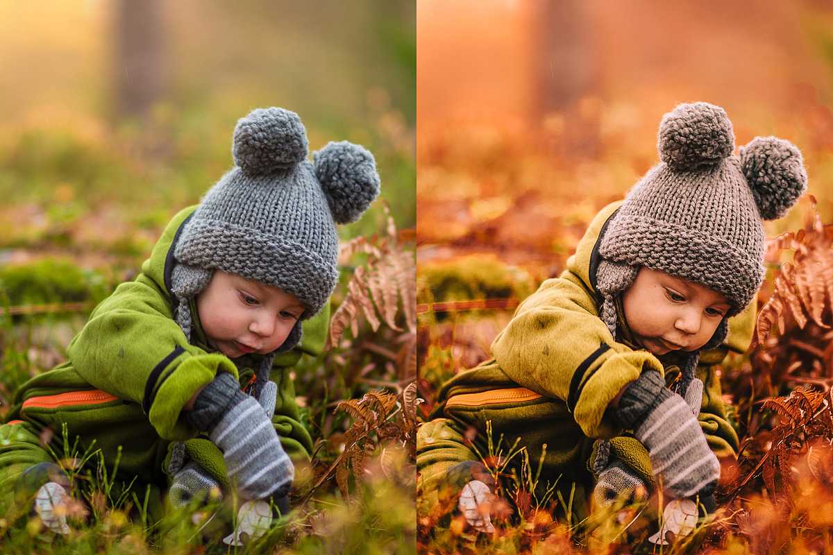 10 Autumn - Fall Lightroom Presets, a Preset Add-On by VividFrame (Photo 2 of 9)