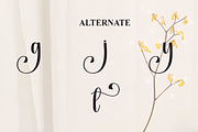 Starkey | Script Font, a Handwritten Font by Scratchones (Thumbnail 8 of 9)