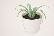 Plant n°1, an Object 3D Model by 3D Furnishing (Thumbnail 7 of 20)