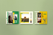 Sunflower - Social Media Bundle, a Social Media Template by Dirtytemp Studio (Thumbnail 6 of 15)