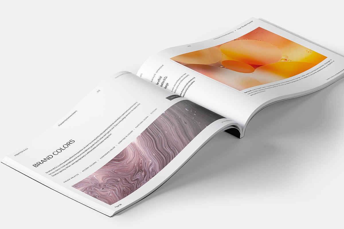 73-Page Brand Style Guidelines, a Presentation Template by Smotrow Related (Photo 16 of 19)