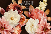 Warm Peachy Pink Floral Art Kit, a Decorative Illustration by Eclectic Anthology (Thumbnail 3 of 12)