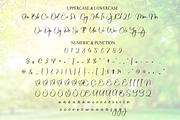 Brightning | Script Font, a Handwritten Font by Scratchones (Thumbnail 7 of 8)