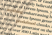 Elegante Classica - Classic Serif, a Serif Font by Mokatype Studio (Thumbnail 9 of 13)