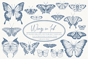 Wings in Ink. Vector Butterflies, an Object Graphic by PenguinArtStudio (Thumbnail 1 of 6)