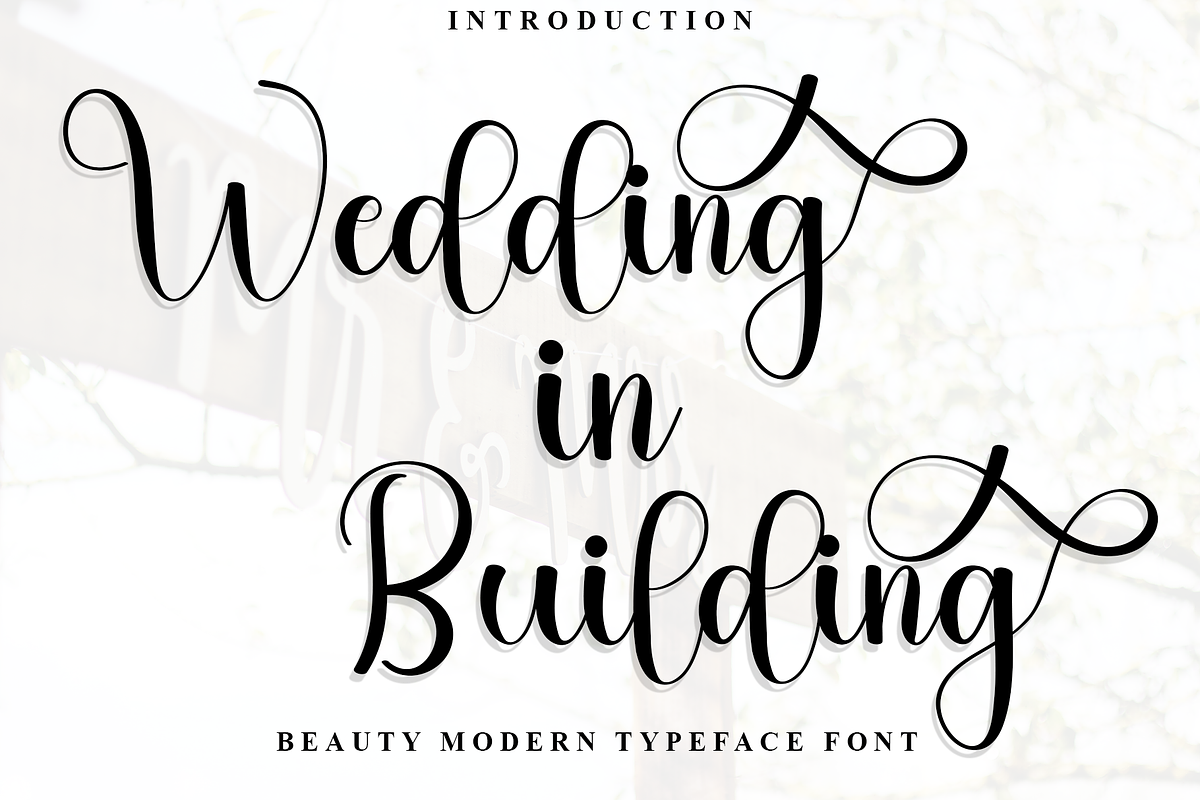 Wedding In Building, a Handwritten Font by FreshTypeINK (Photo 1 of 8)