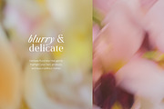 Blur Flower Abstract Backgrounds, a Background Graphic by eclosque (Thumbnail 17 of 27)
